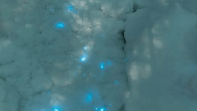 Photo of آرکٹک میں نیلی روشنی خارج کرنے والی برف دریافت