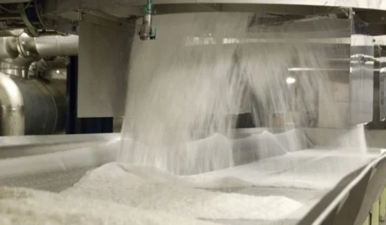 sugar11